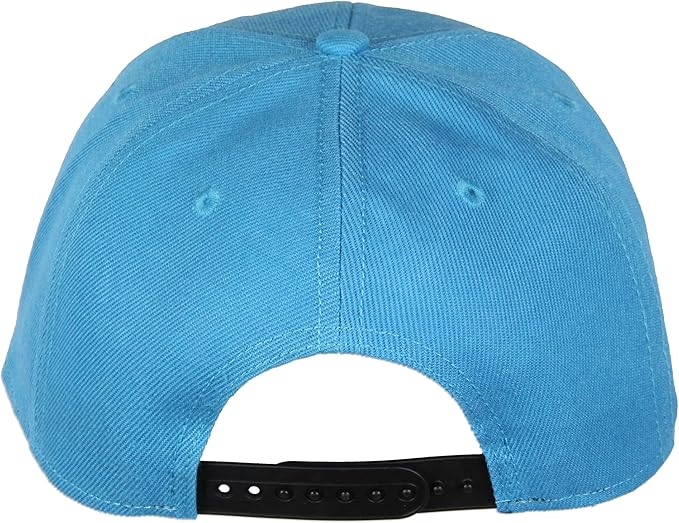 Sesame Street Cookie Monster Mens' Snapback Hat Adult Precurve Adjustable Cap | Perfect for Everyday Wear Blue