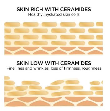 Ceramide 100 Ampoule – Barrier Repair & Moisture Locking Serum for Sensitive Skin – 30mL + Needleless Syringe