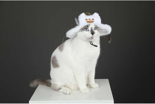 Newcos Monster Wilds Hunter Airu Costume for Cats Cosplay Pet Supplies Costume Accessories Hat Cap Halloween Suit White (Cats Hat, Large(34-37cm))