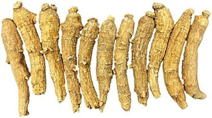 Hand-Selected A Grade American Ginseng Medium Thin-Short Size (4 Oz. Box)