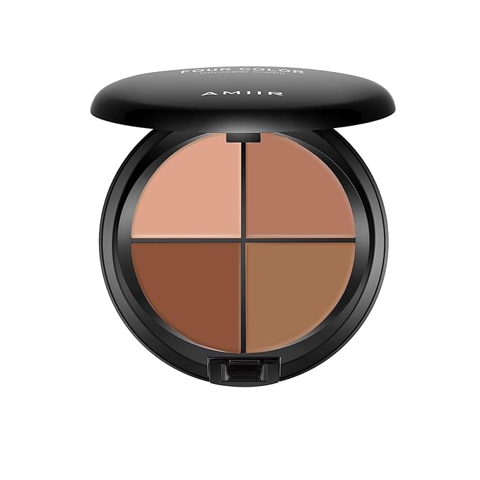 AMIIR Color Correcting Concealer Cream Full Coverage Professional to Dark
