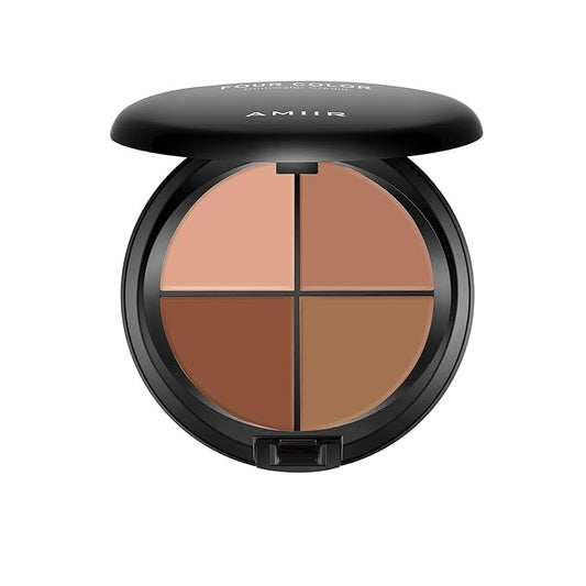 AMIIR Color Correcting Concealer Cream Full Coverage Professional to Dark