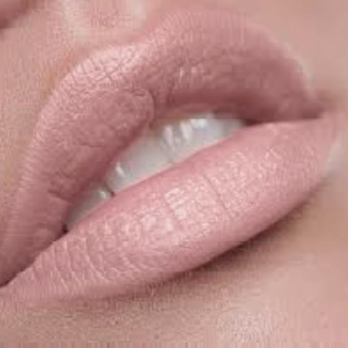 Premium Long Lasting Matte Pale Pink Nude Lip Liner Pencil | Everyday Play…