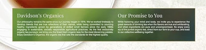 Davidson's Organics, Ginger Chai, 100-count Unwrapped Tea Bags