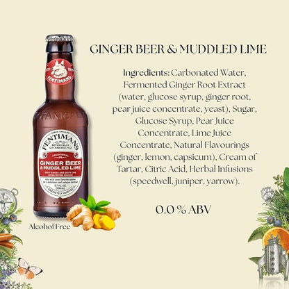 Fentimans Sparkling Ginger Beer & Muddled Lime - Ginger Beer Non Alcoholic, Ginger Ale with Natural Ginger Root, Mixer, Craft Soda, No Artificial Flavors or Preservatives - 6.7 Fl Oz (Pack of 12)