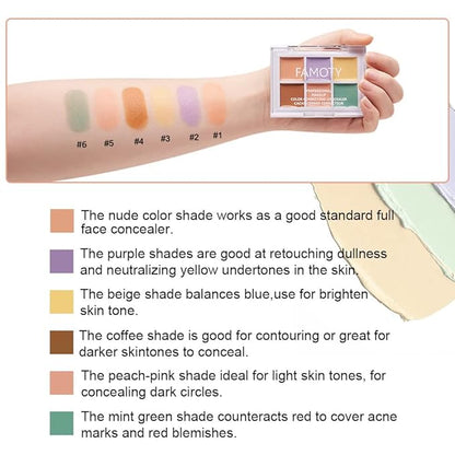 6 Color Correcting Concealer Palette With Concealer Brush,