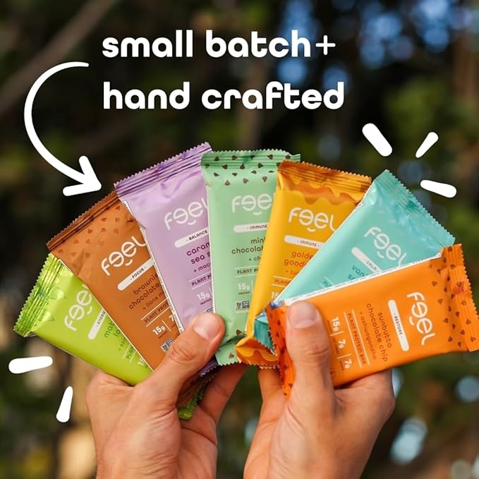 Feel Vegan Protein Bars | Keto | Gluten Free | Organic | 15g Protein | Dairy Free | Low Sugar | Grain Free | Nut Free | Soy Free | Variety Pack - 6 Flavors, 6 Count