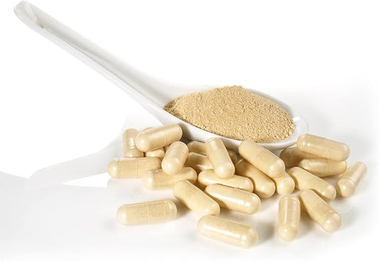 Dairyland Ginseng - Notoginseng Capsules - 75 ct - Tienchi Ginseng Complex Capsules - Authentic Notoginseng Capsule - Vegan Panax Ginseng Capsules for Use as a Daily Immune Support