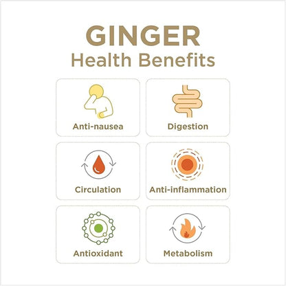 GIN GINS Super Strength – Natural Ginger Candy by The Ginger People – Individually Wrapped Healthy Candy – Super Strength Flavor – Large 1 lb Bag (16oz) – Pack of 2