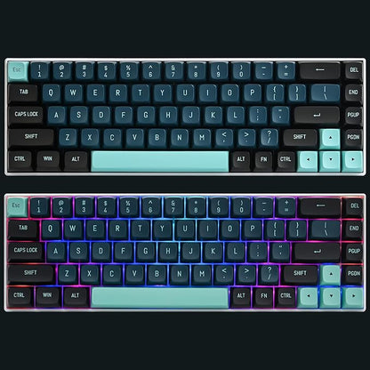 160 Monster Full Key Cap Group, CSA Profile Custom Keycaps PBT Double Shot ANSI Layout Keyboard for Cherry/Gatron MX Switches Mechanical Gaming Keyboards (Monster Blue)