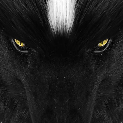HAOAN Furry Dog Mask Animal Wolf Full Head for Halloween Fancy Dress Party Cosplay Costume Women Men