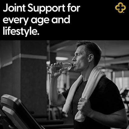 Glucosamine Chondriotin MSM All-in-One Joint Support Supplement Turmeric, Hyaluronic Acid, Boswellia, Ginger Root, Bamboo & Black Pepper Extract Supports Joint Health & Flexibility 90 Capsules