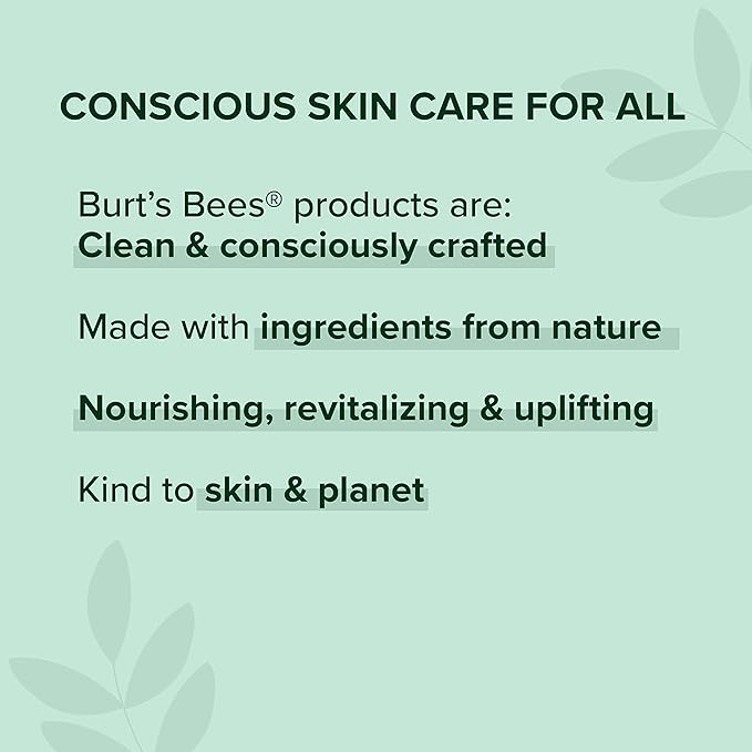 Burt's Bees 100% Natural Moisturizing Gloss Lip Crayon, Santorini Sunrise - 1 Crayon