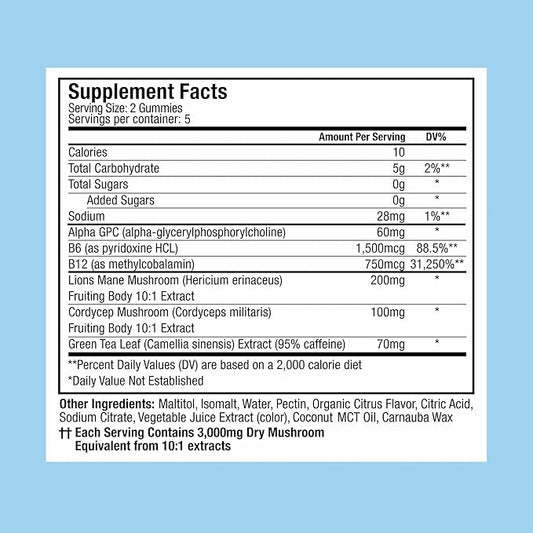 Plant People WonderFocus Mushroom Gummies Mini with Lion’s Mane & Cordyceps Nootropic Brain Supplement Boosts Memory Focus Energy & Mood in Adults No Sugar 100% Vegan Citrus Flavor Trial Size