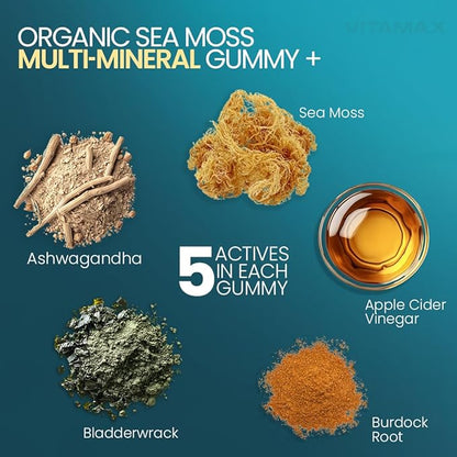 Irish Sea Moss Gummies, Sea Moss 3000mg, Bladderwrack 2000mg, Ashwagandha 800mg, Burdock Root 400mg, ACV, Non-GMO and Vegan – Made in USA – 60ct
