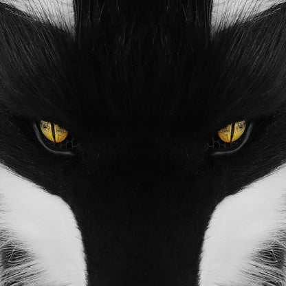 HAOAN Furry Dog Mask Animal Wolf Full Head for Halloween Fancy Dress Party Cosplay Costume Women Men