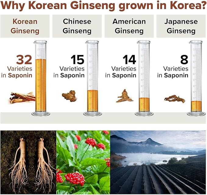Korean Red Ginseng Capsules, Natural Energy Supplements The Root Original Enriched with Pure Ginsenosides Rg3 Premium Ginseng Supplement