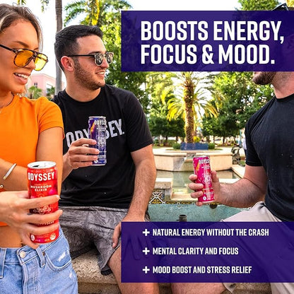 Odyssey Elixir Cognition + Sustainable Energy - Lion's Mane, Cordyceps, L Theanine, Ginseng & 85mg Green Tea Caffeine - 0 Added Sugar - No Jitters or Crash - Blackberry Lemonade - 12 Fl oz, 12 Pack