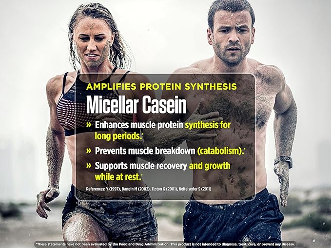 Biotest FINi Protein-Energy Bar - Fueled with Performance Sweetener (12 Count, Chocolate)