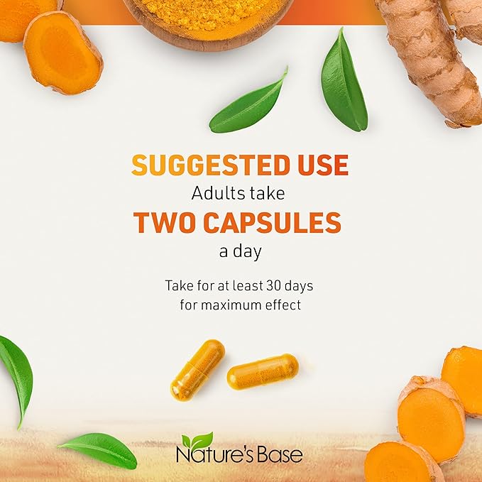 Nature's Base Turmeric Curcumin Supplement - with Ginger, Apple Cider Vinegar, & BioPerine Black Pepper Extract - 95% Curcuminoids - 60 Capsules