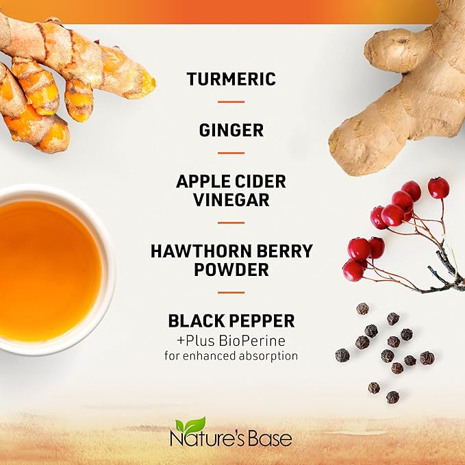 Nature's Base Turmeric Curcumin Supplement - with Ginger, Apple Cider Vinegar, & BioPerine Black Pepper Extract - 95% Curcuminoids - 60 Capsules