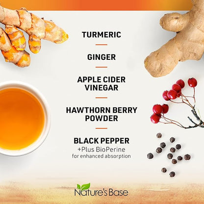 Nature's Base Turmeric Curcumin Supplement - with Ginger, Apple Cider Vinegar, & BioPerine Black Pepper Extract - 95% Curcuminoids - 60 Capsules