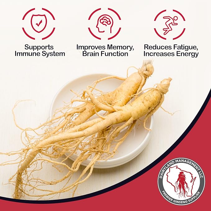 Dairyland American Ginseng Roots 西洋参 - 4 oz Pack of Wisconsin Ginseng Root - Authentic American Ginseng - Non-GMO, Gluten Free Whole Ginseng - Use This Herbal Supplement in Soup, Tea, Congee