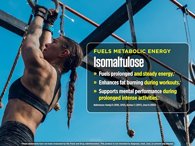 Biotest FINi Protein-Energy Bar - Fueled with Performance Sweetener (12 Count, Chocolate)