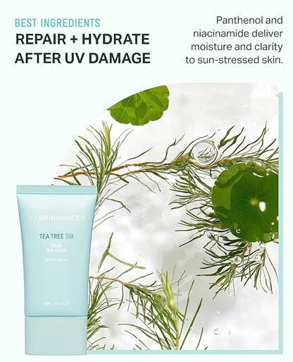 BRING GREEN Tea Tree CICA Mineral Sunscreen SPF 50+ PA++++ | Non-Nano Zinc Oxide Face Sunscreen, Reef Safe Korean Sunscreen for Sensitive Skin, Oil-Free, 1.69 fl. oz