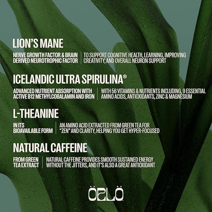 ORLO BRAIN PERFORMANCE BAR – Vegan Protein Bars for Brain & Energy Support – Focus & Memory, Pre & Post Workout Recovery – Gluten Free Snack with L-Theanine, Lions Mane, Spirulina & More (12 Bars)